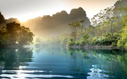 可靠性高性能